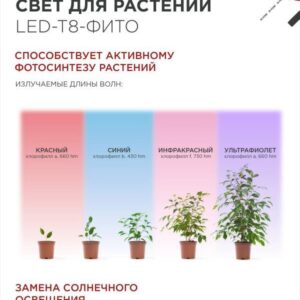 Лампа светодиодная LED-T8-ФИТО 10Вт 230В G13 600мм IN HOME