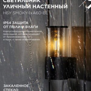 Фасадный светильник SMOKY-1xA60-BL E27 IP54