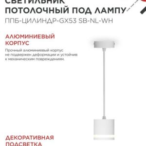 Подвесной светильник ППБ-ЦИЛИНДР GX53 70мм белый IN HOME