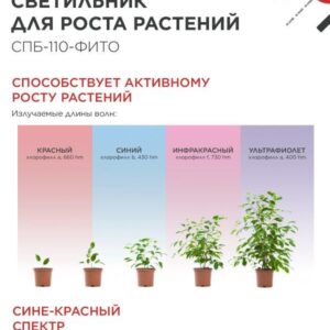 Светильник светодиодный СПБ-110 STD-ФИТО красно-синий спектр 40Вт 1200мм IP40 IN HOME
