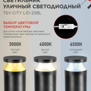 Уличный светильник TOR-25BL 25Вт на столб