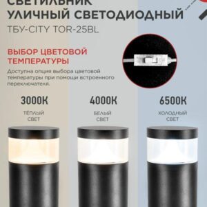 Уличный светильник LID-25BL 25Вт на столб