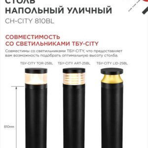 Столб напольный СН-CITY 810BL для светильника ТБУ-CITY 810мм черный IP54 IN HOME